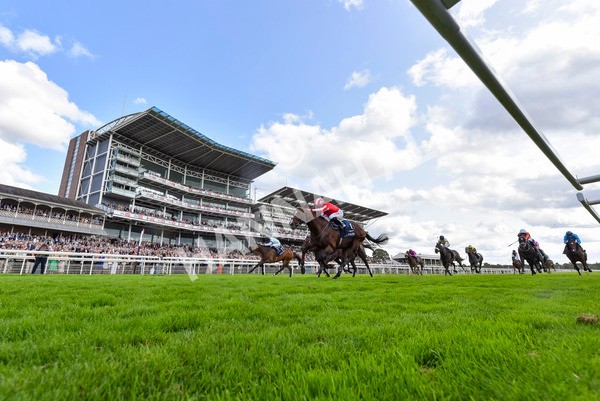 230824-Race 4-Bradsell-4290 - Race 4 3.35pm Coolmore Wootton Bassett Nunthorpe Stakes