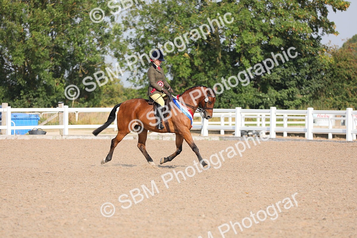 SBM_10947 - Class 304 Ridden Part Bred Horse/Pony