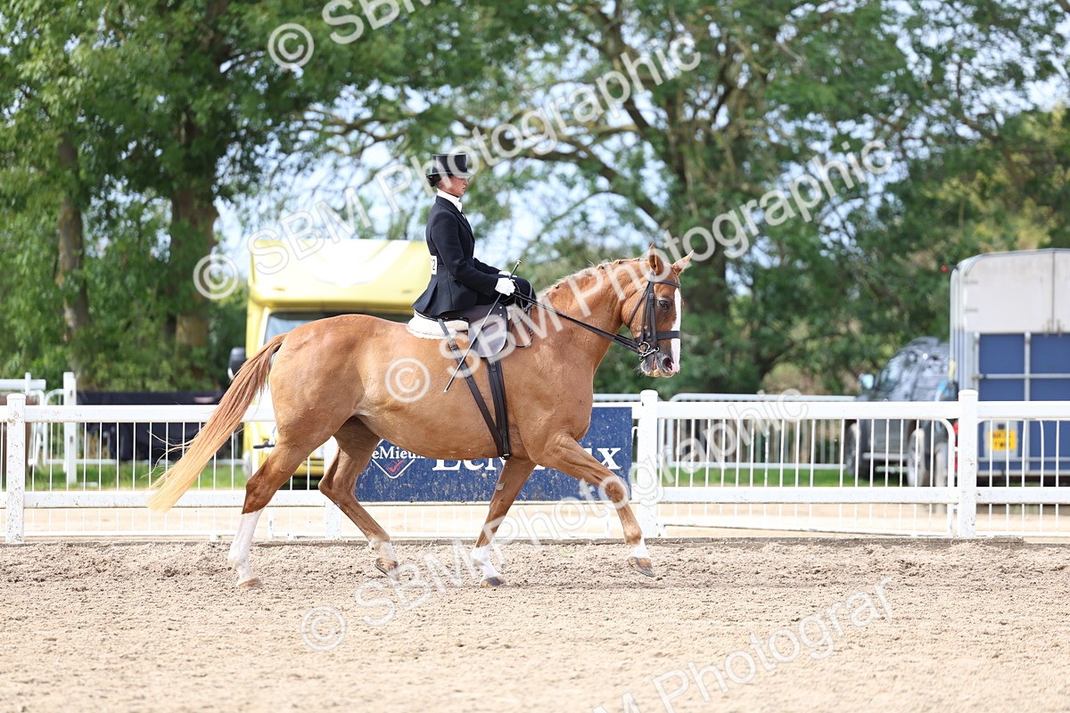 SBM_03446 - Class 24 - SSA Concours d'elegance (any age)
