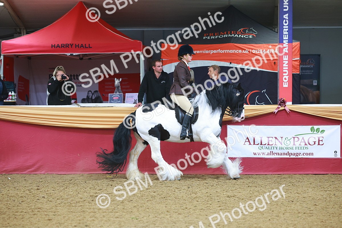 SBM_09647 - Class 102 - HOYS Veteran Qualifier - Ridden Veteran