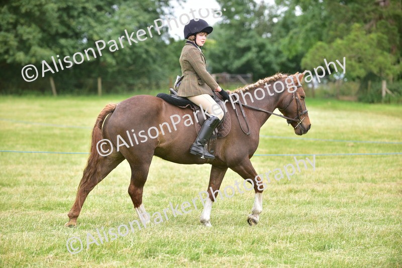 20260614-2666 - Class 13 - Pony Club Pony