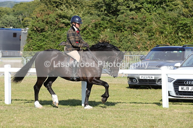 1X9A6063 - M & M Ridden Championship