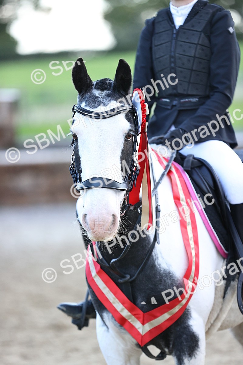 SBM_54407 - Supreme Championship 70cm 75cm