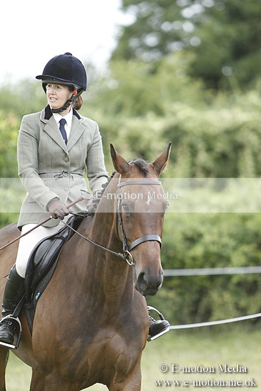 BVR160717-1763 - Ring 3 BVRC Show 16/07/17