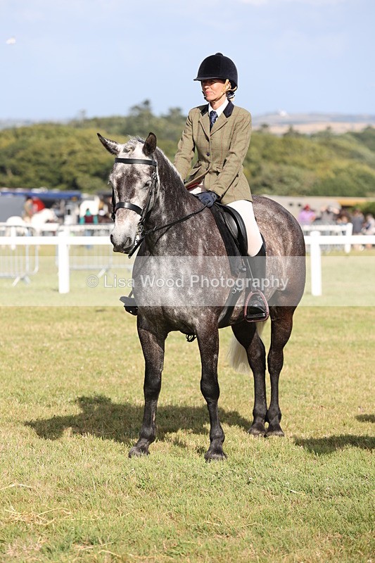 JPP_2996 - Class 20: Working Hunter 70cm