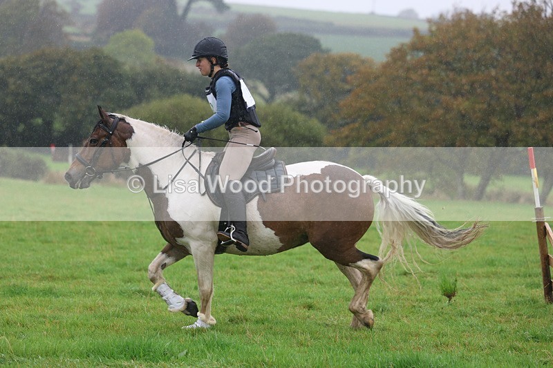 3E7A0900 - Class 1: 65cm: Rails