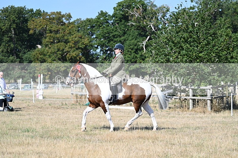 WJ7_3255 - Class 8 Ridden Tack & Turnout