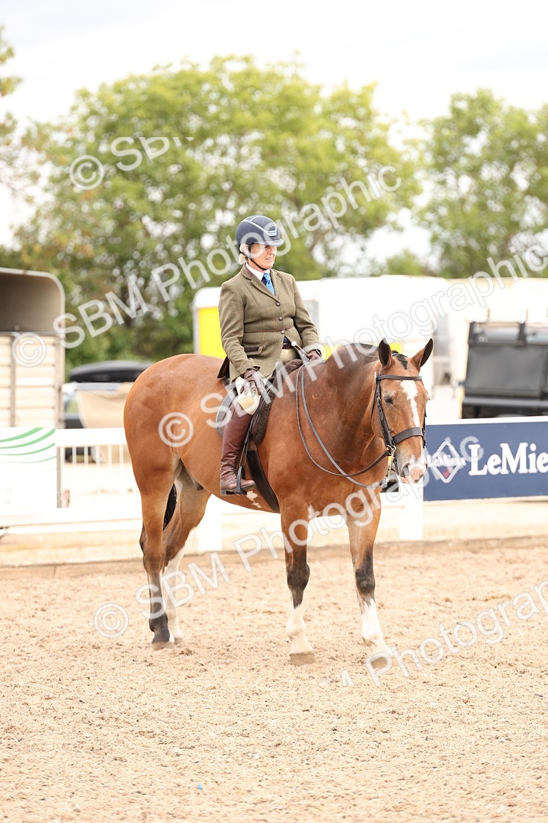 SBM_19590 - Class 215 - Ridden Show cob