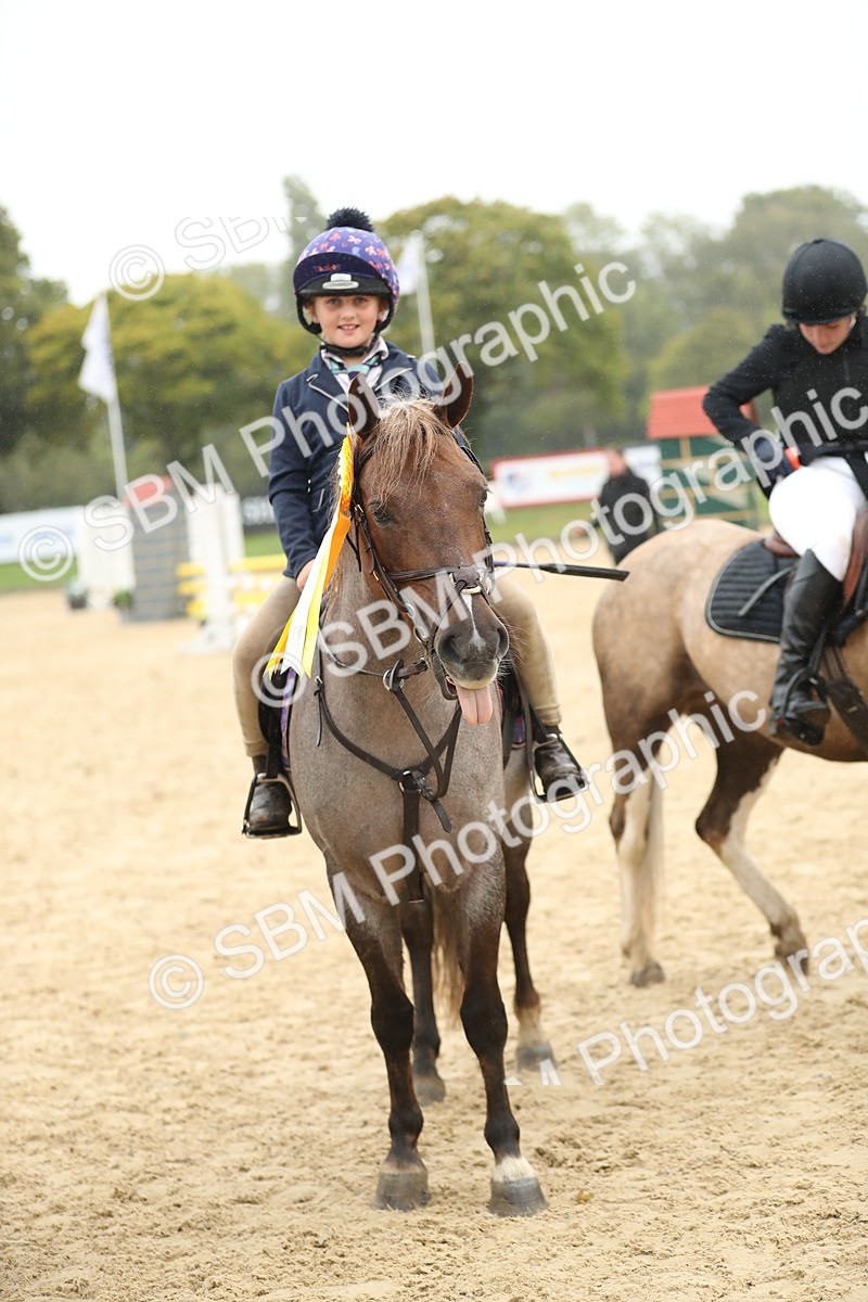 SBM_74108 - J16 - Junior Pony 75cm Championship
