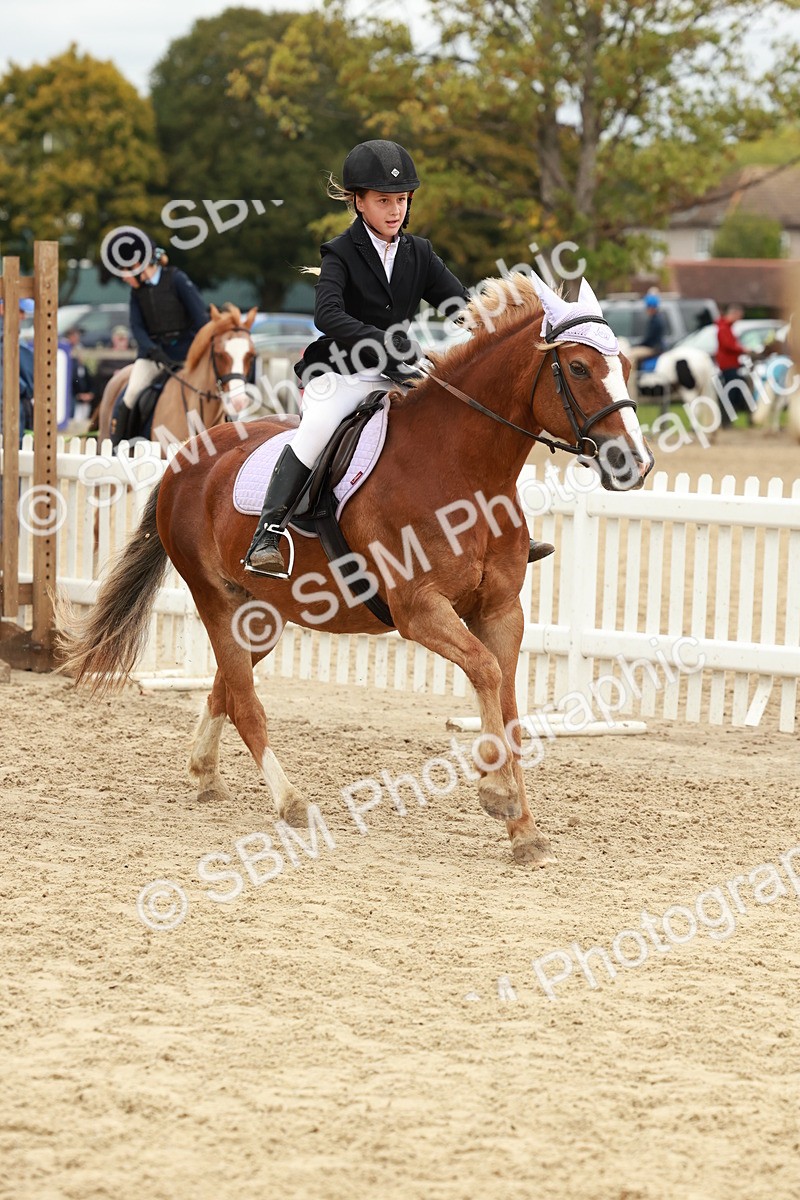 SBM_67054 - J13 - Junior Pony 60cm Championship