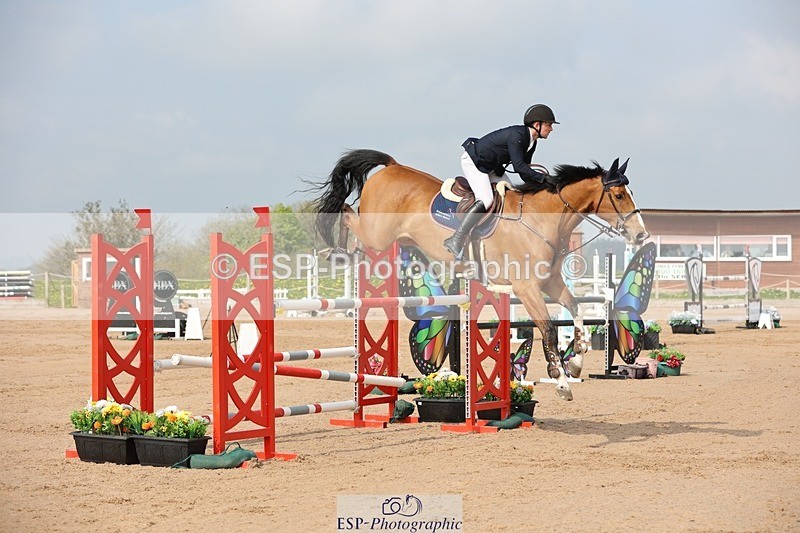 250424-103537-03117 - Cls 33 Young Horse 7yr old