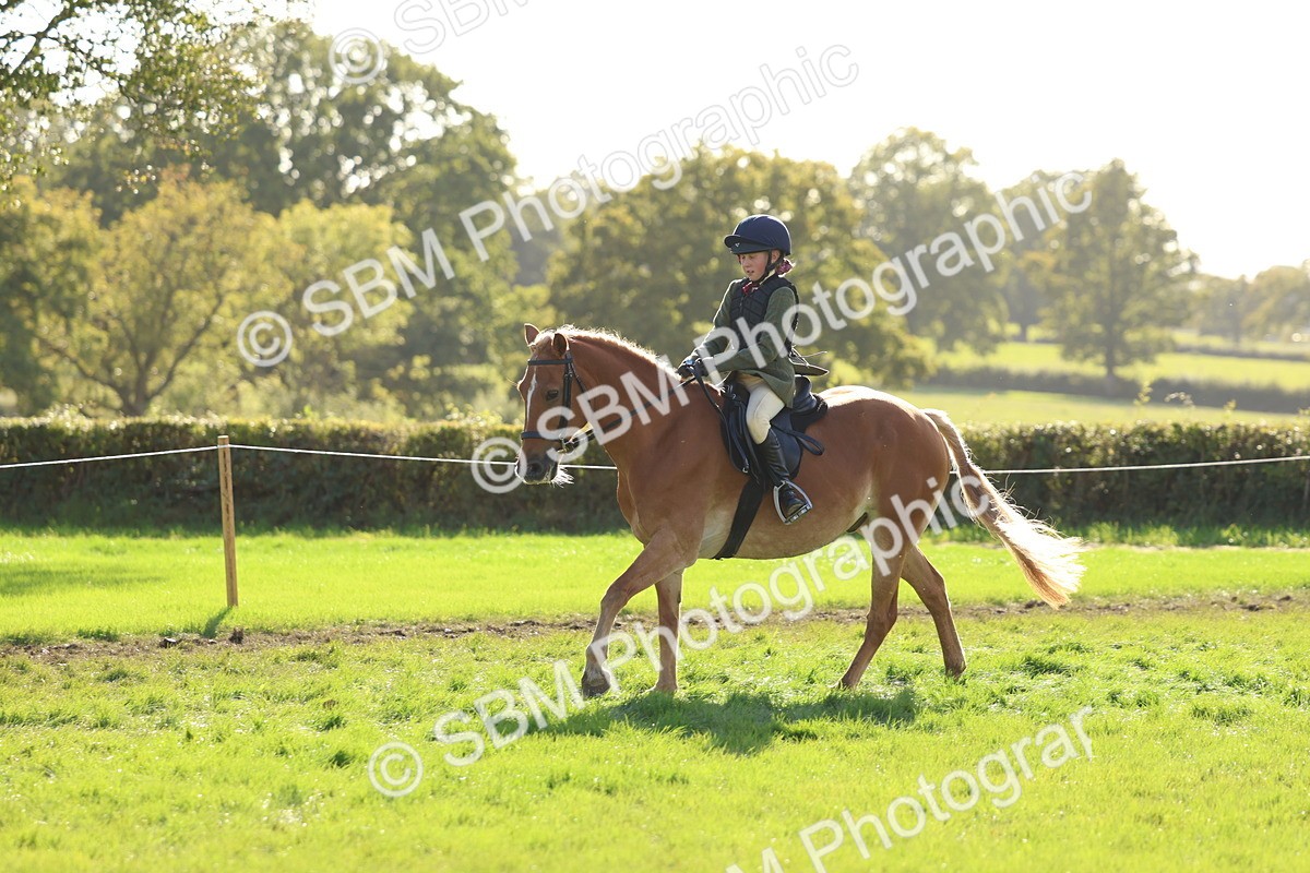 SBM_52463 - S13 - Pony Club Pony
