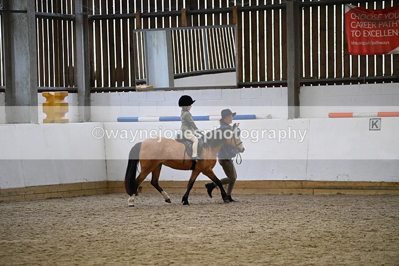 WJ5_6706 - Class 10 Childs Pony