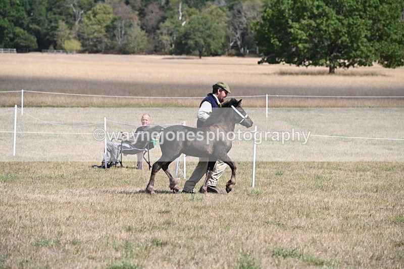 WJ6_5143 - Class 17 Mountain & Moorland