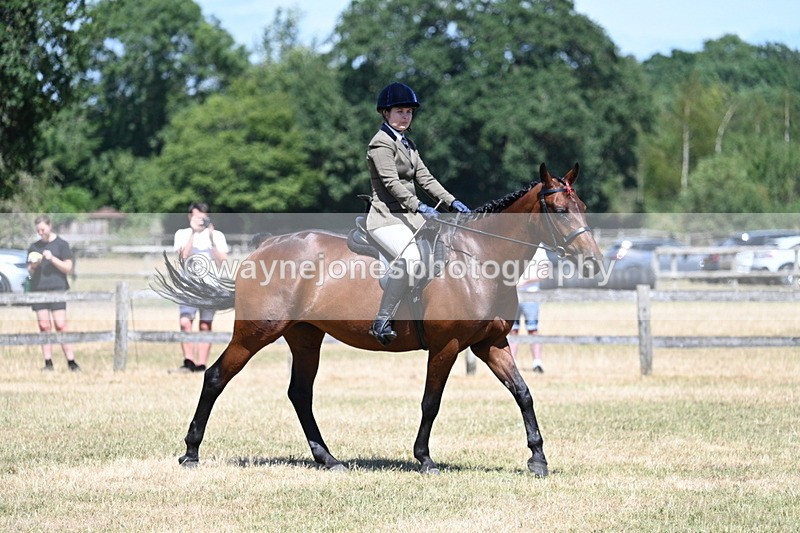 WJ7_3033 - Class 7 Riding Club Show Horse