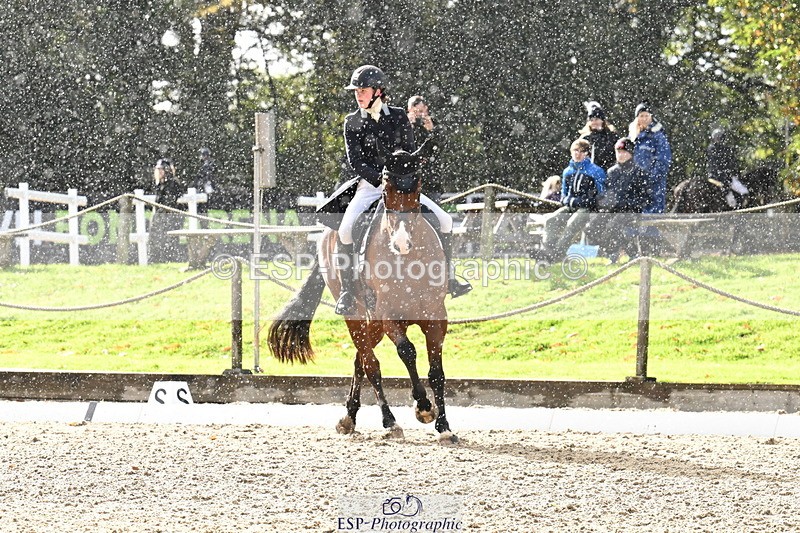 251023A-144614-05595 - B-156-Eres.Parry