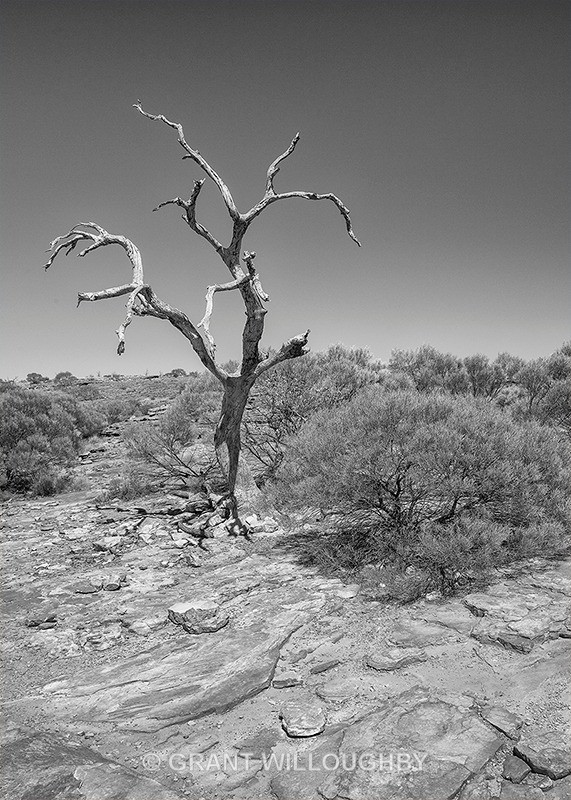  - Australia