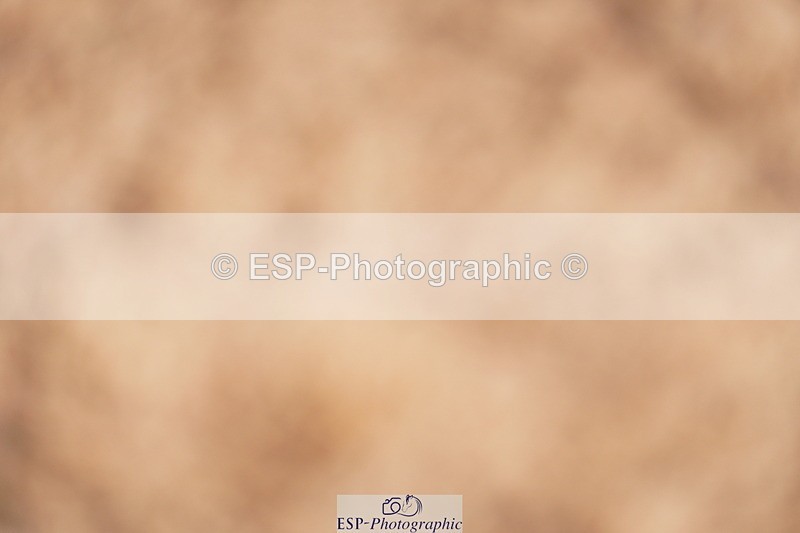 240628A-180650-00638 - Cls 3 1m Open