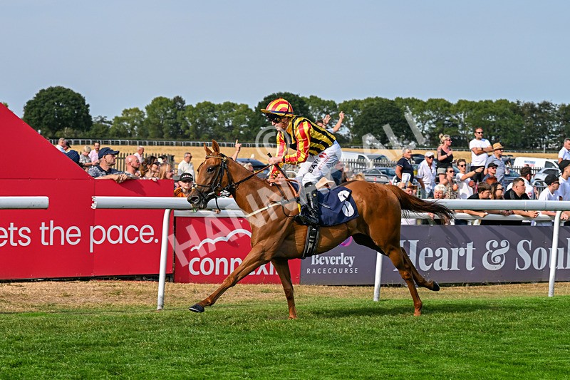 130826-Race 6-Saxon Grace-9926 - Race 6 16.45pm Racing Again On Saturday 29 August Handicap