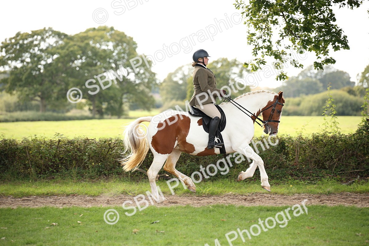 SBM_70382 - S66 - Hunter Ridden