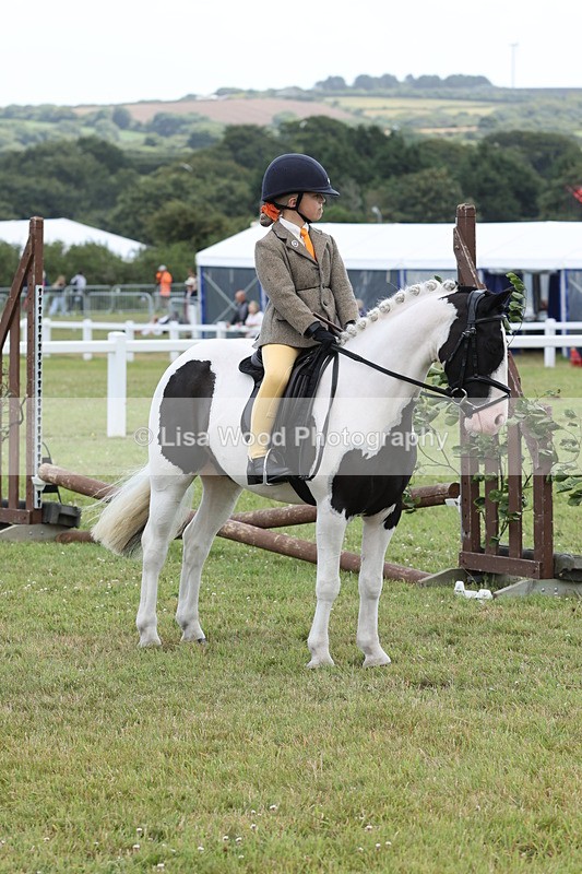 JPP_1917 - Class 18: Tiny Tots Working Hunter Pony