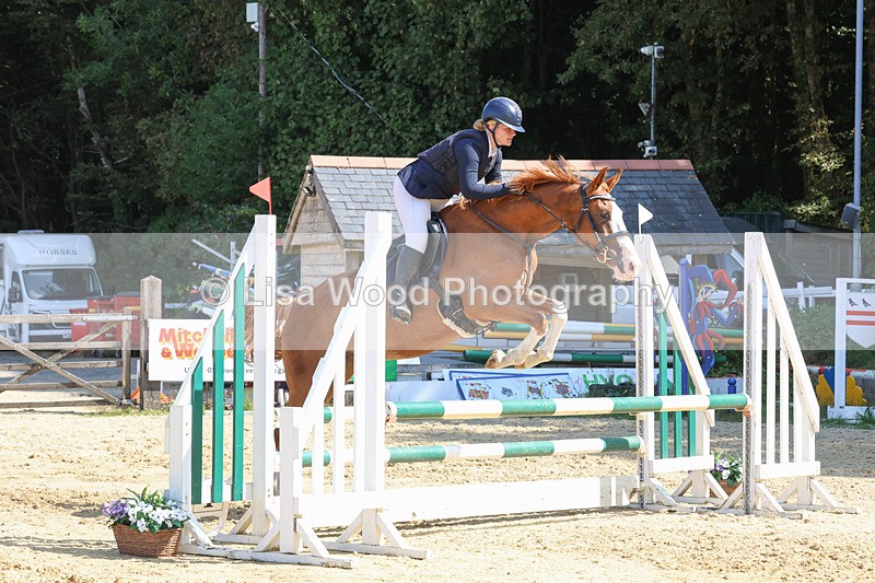 3E7A1080 - Class 4: Senior British Novice/90cm open