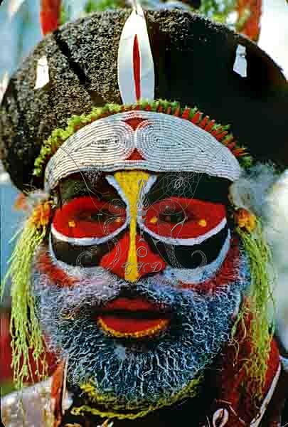 Tribesman - E. Highlands, Papua New Guinea - PEOPLE