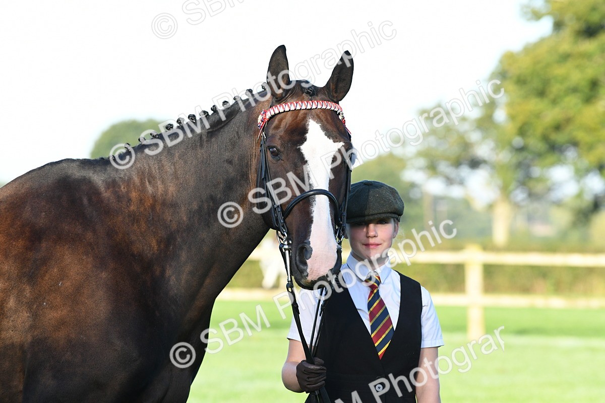 SBM_32644 - S15 - Condition & Turnout In Hand