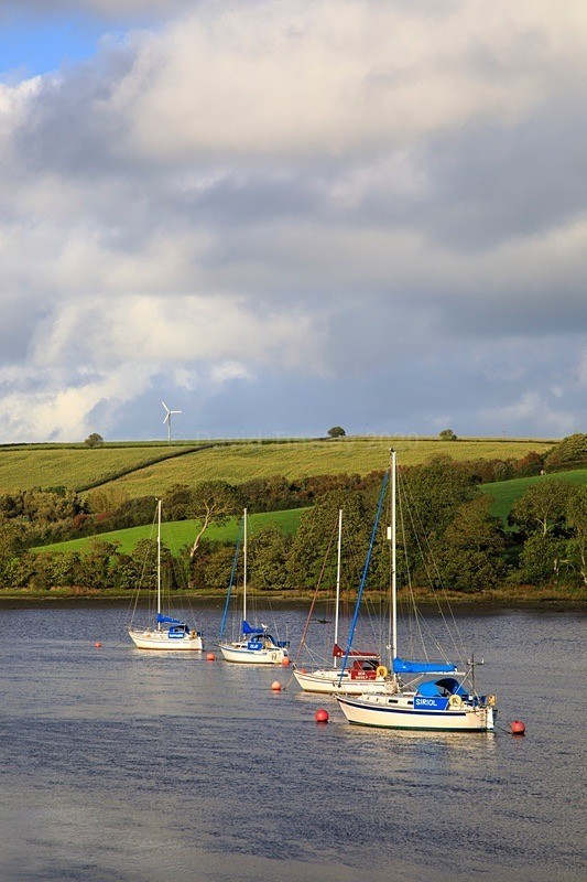 Moorings on the Teifi No2 - Mid Wales