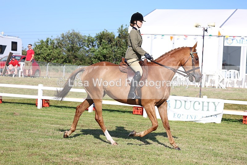 3E7A5244 - Class 2: Rising Star Large Hack/Riding Horse