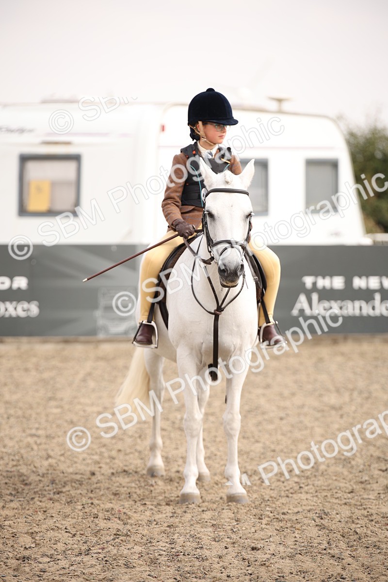 SBM_11699 - Class 404b Junior Working Veteran- 40cm(20+)