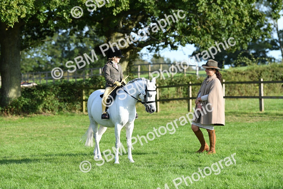 SBM_52417 - S22 - 1st Ridden Show & Show Hunter Pony