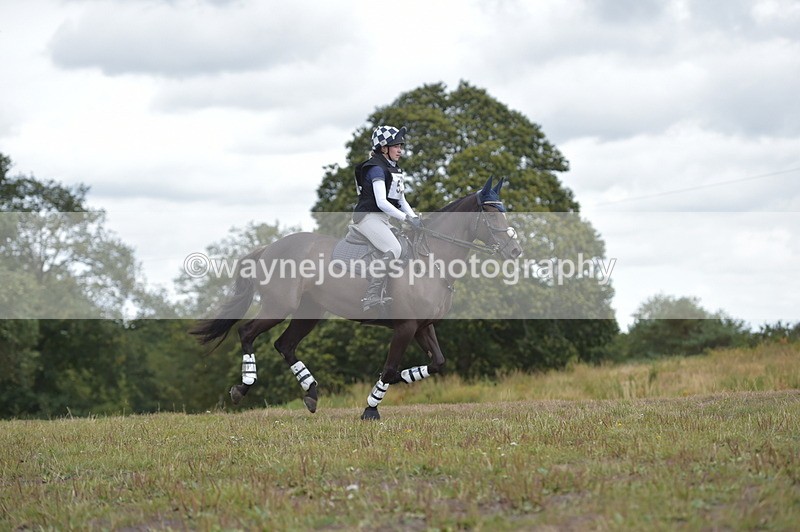 NGP_2299 - XC Time 11:20 to 11:36