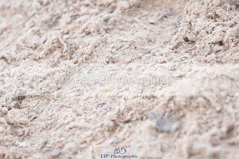 250921-133134-03373 - Cls 15-17 CoH 90cm, 1m and 1.10m