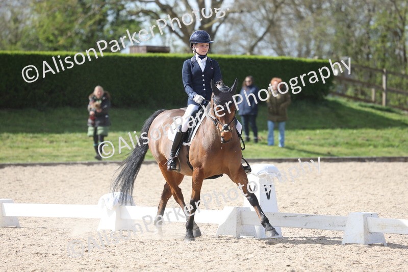 20260405-0911 - Pony FEI