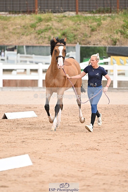 250716-151227-01761 - Trot Up 2.30 to 3.30