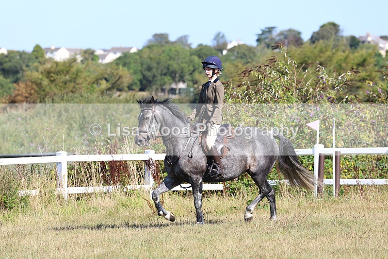 3E7A5513 - Class 3: Working Hunter 70cm