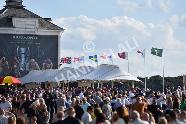 yr20082022r7-19 - Race 7 5.20pm Sky Bet Finale Stakes