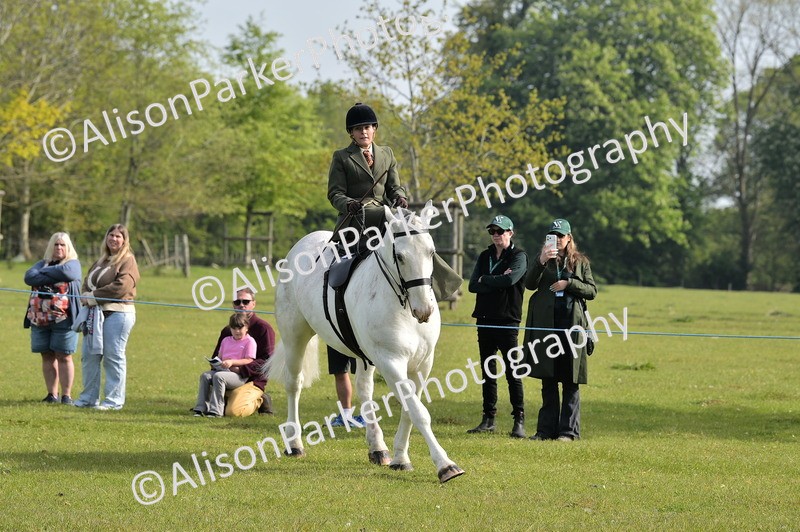 20260426-0888 - Class 18 - Novice Showing