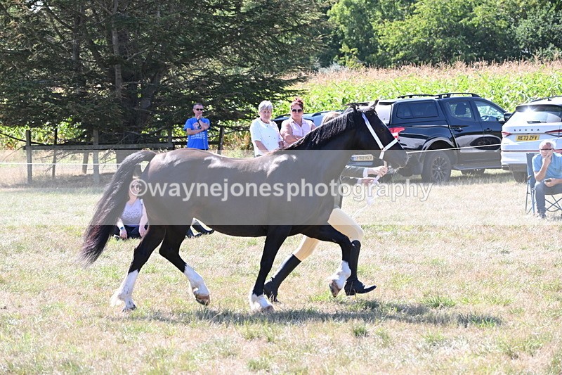 WJ6_4874 - Class 17 Mountain & Moorland