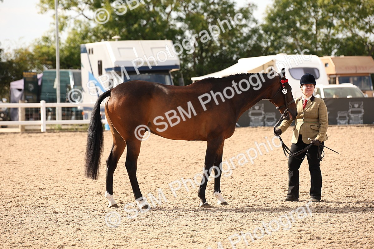 SBM_08143 - Class 27 - IH Competition Horse-Pony