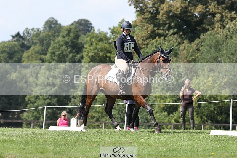 250823A-140210-31435 - Arena D