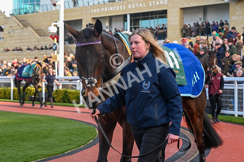 250125-Race 3-Some Scope-3191 - Race 3