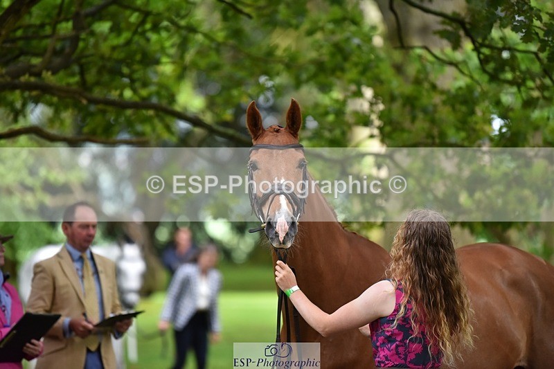 240522-170648-01393 - 236-RUBIN_MOON_SB-Gemma_Watts