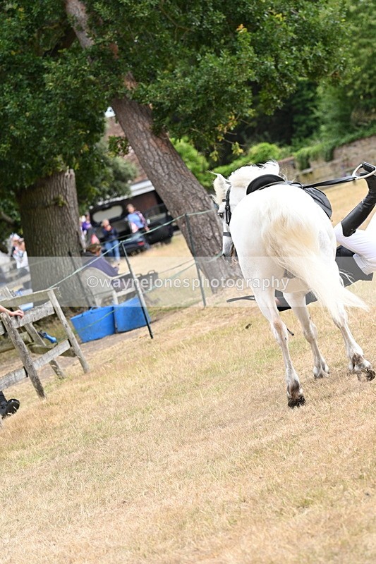 WJ7_0402 - Class 6 Ridden Mountain and Moorland