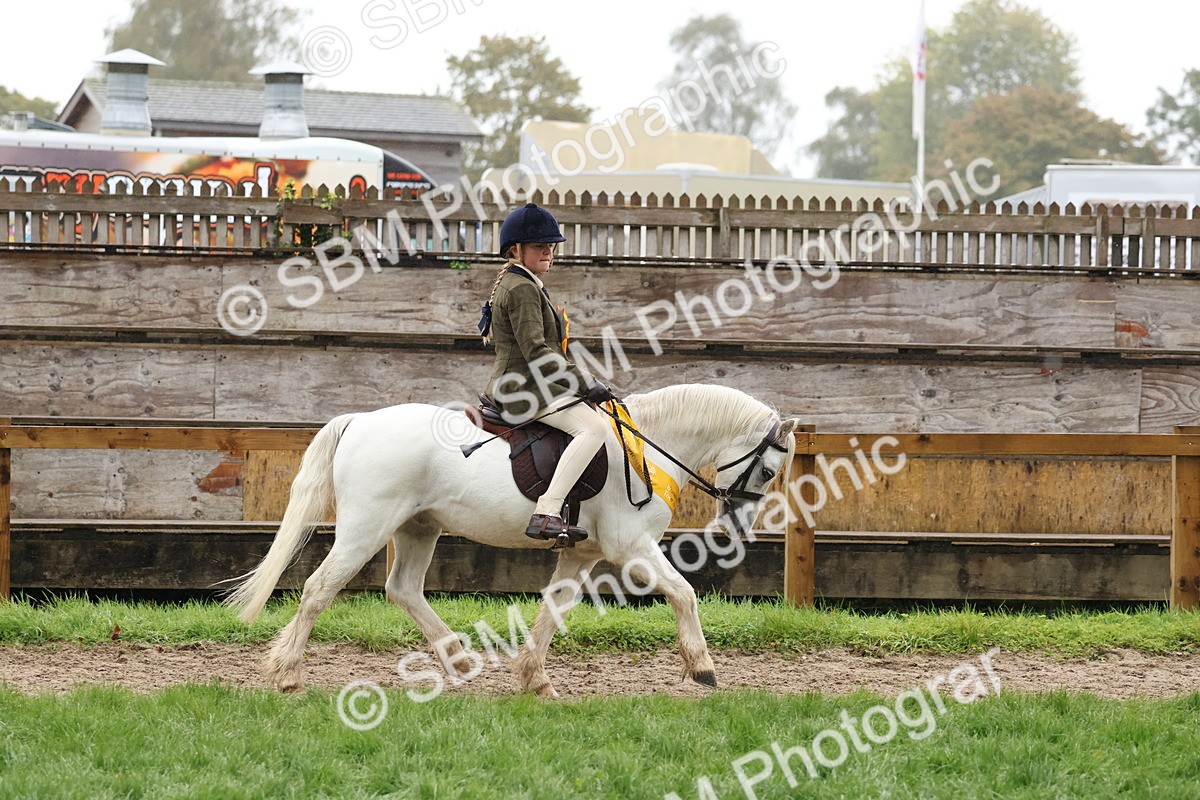 SBM_73110 - Ridden Pony Supreme Championship