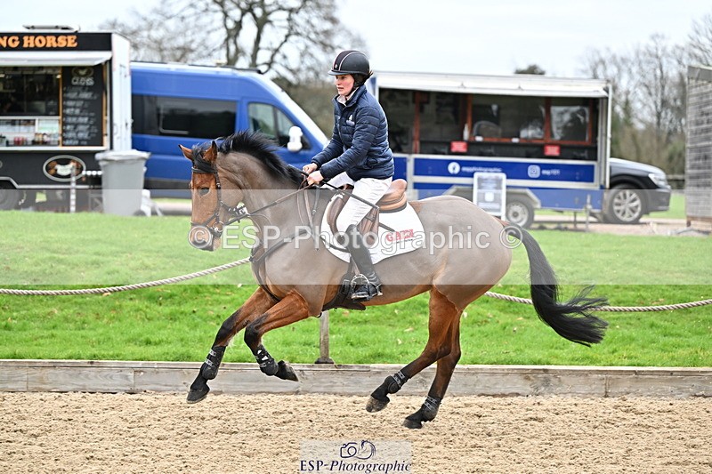 250201A-103639-00270 - Cls 01 Local Horse 90cm