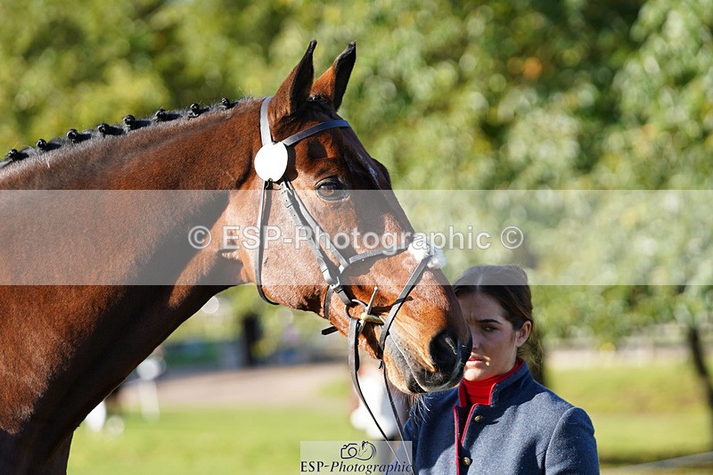 241026-101306-11690 - 053-Lois.Teal-Z7.CATASTROPHE