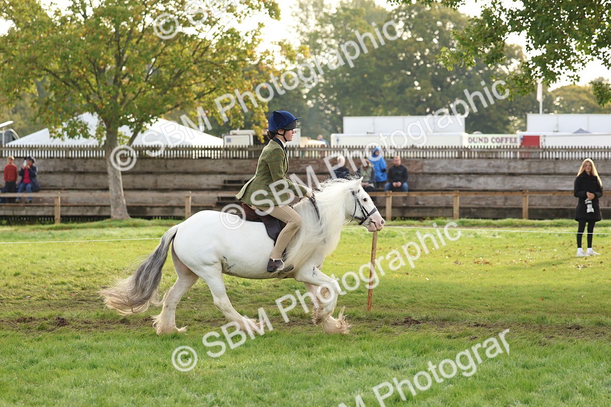 SBM_56595 - S40 - Starters Ridden Showing