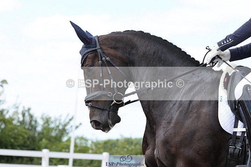 240622A-151529-14196 - Cls 33 BD Medium 73